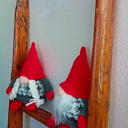 Le Petit Bijou 奥斯塔